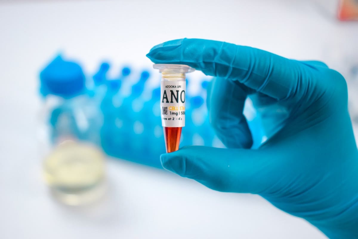 ANO Cell Stain